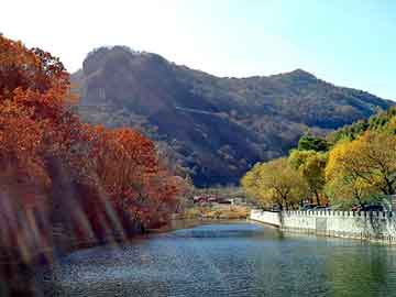 管家婆黑白马报图库，南雄seo程序